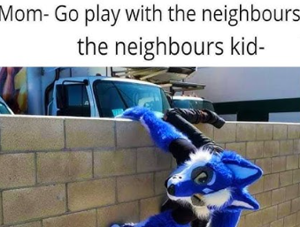 Crazy Kid